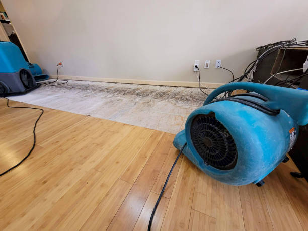 Professional Sewage Cleanup technician working in Pittsboro, IN